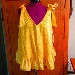 NWT Terra & Sky Sleeveless Top